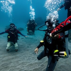 Paket Snorkelling